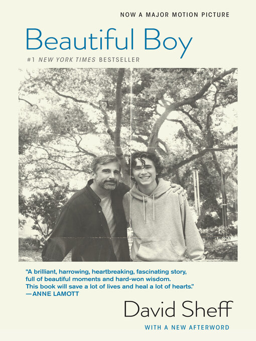 Title details for Beautiful Boy by David Sheff - Wait list